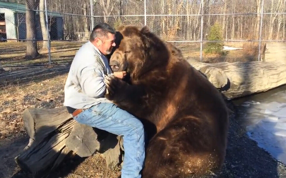 Dieser Mann kuschelt mit einem Bären! 