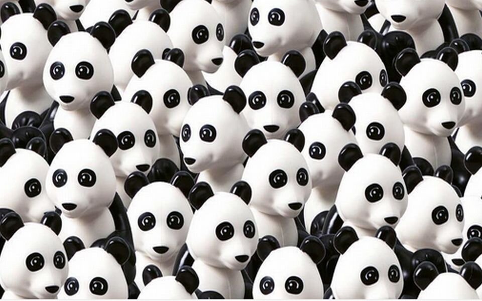 Neues Panda-Rätsel begeistert Internet