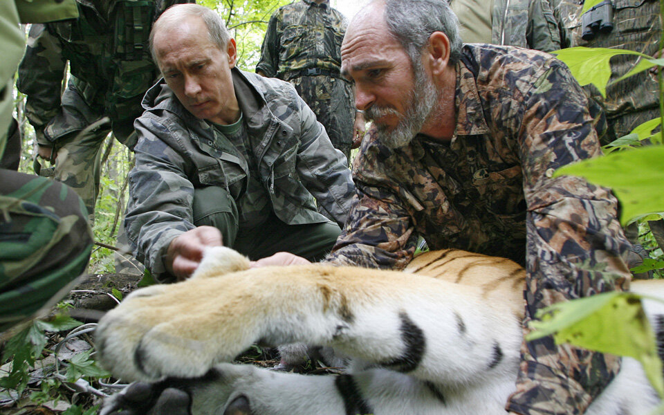 Putins Tiger laufen Amok