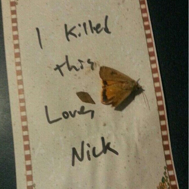 Nick entschuldigt sich noch wegen der getöteten Motte.