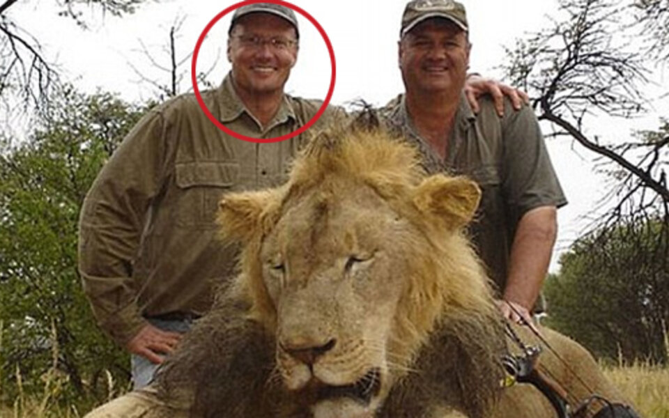US-Behörden ermitteln gegen Löwen-Killer