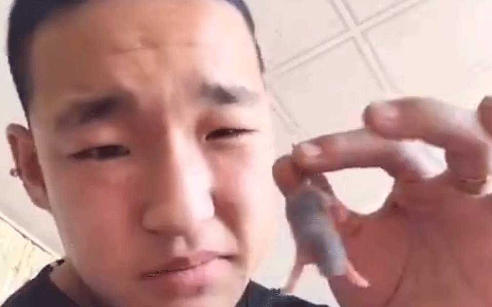 Pfui, er isst lebende Ratten-Babys