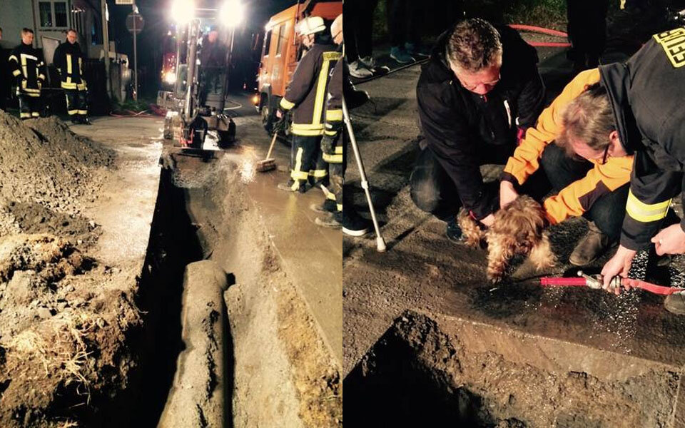 Feuerwehr rettet Hund aus Abfluss-Rohr