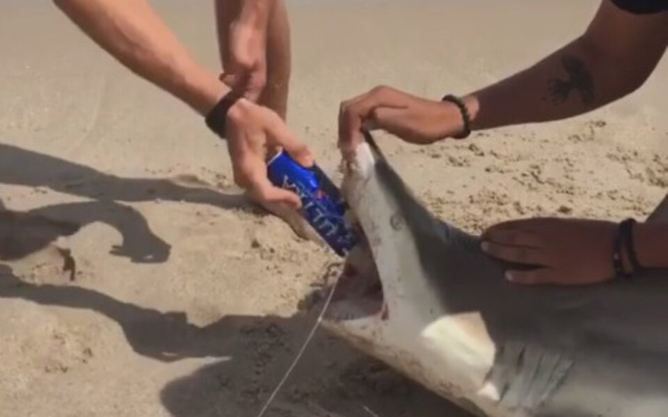 Dieser irre Typ öffnet seine Bierdose mit Hai-Zähnen