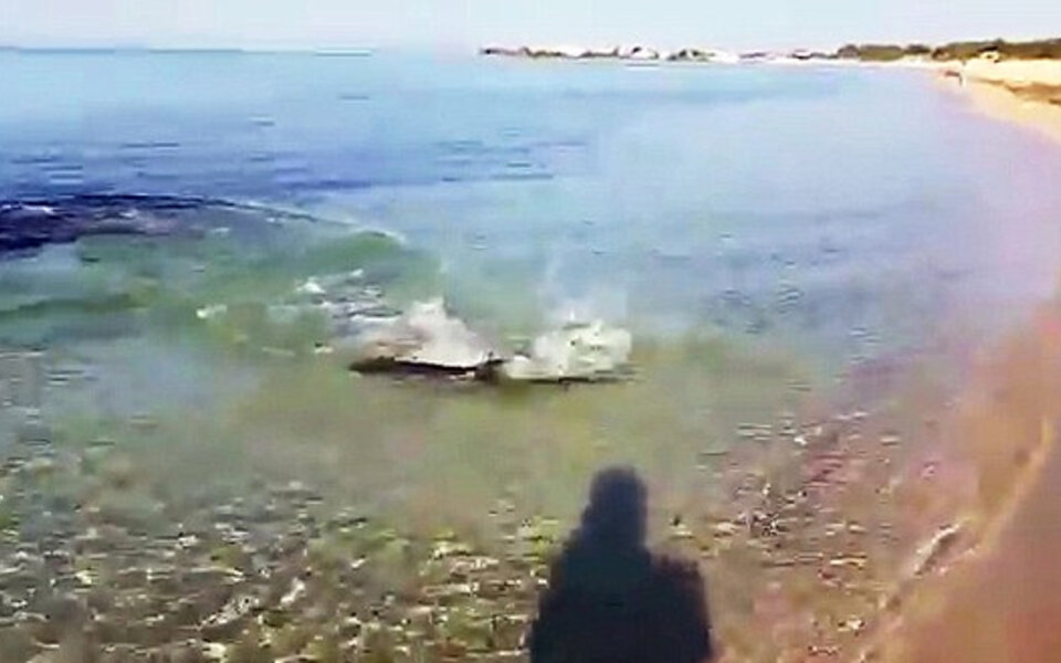 Hai-Attacke in Italien gefilmt