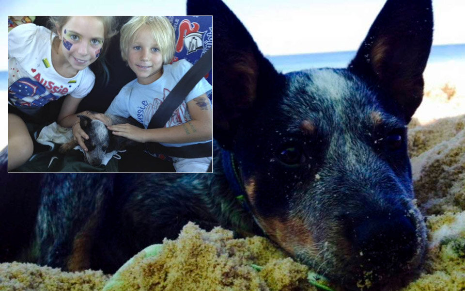 Tod ihres Hundes rettete Kindern das Leben