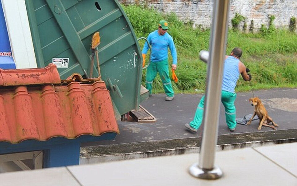 Müllmann warf Hund in den Müll