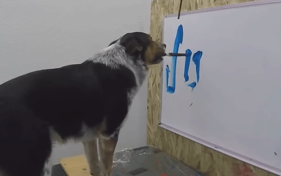 Wow, dieser Hund schreibt seinen Namen