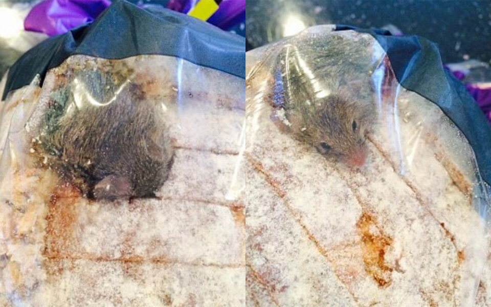 Mann fand eine Maus im Brot von Aldi