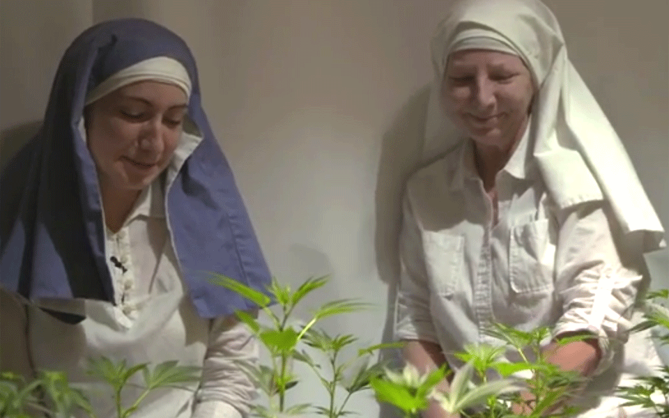 Diese Nonnen stellen Marihuana her