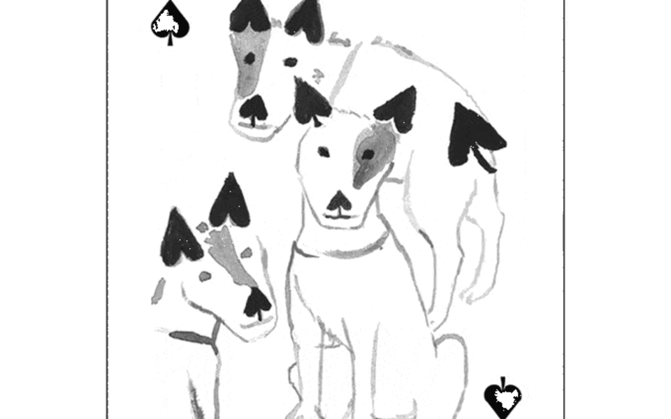 pack-of-dogs-playing-cards-john-littleboy-12.gif