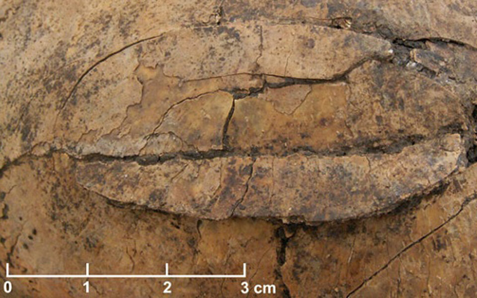 Forscher finden steinzeitliches Massengrab