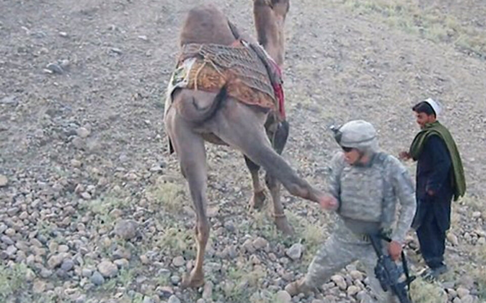 Volltreffer: Taliban-Kamel tritt US-Soldaten