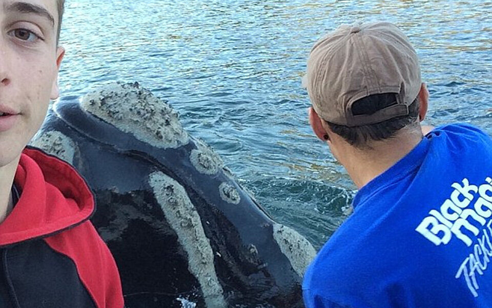Hier retten junge Fischer einen Wal