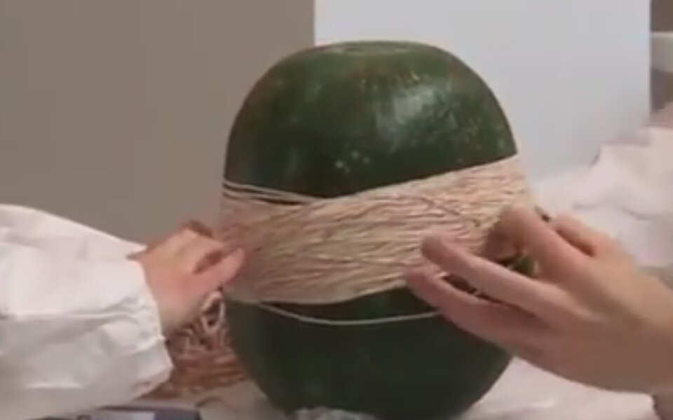 Das Video dieser Wasser-Melone bricht alle Rekorde